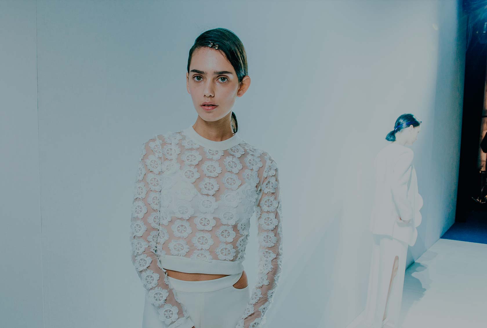 Sed Placerat Vehicula Turpis